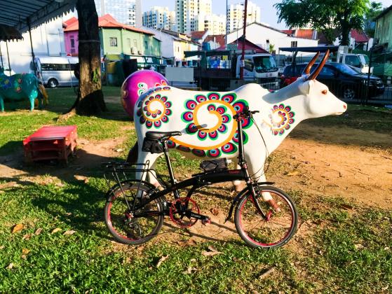 Little India along Clive Street