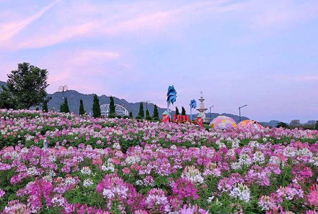 adayinkhaoyaiCover-900x606