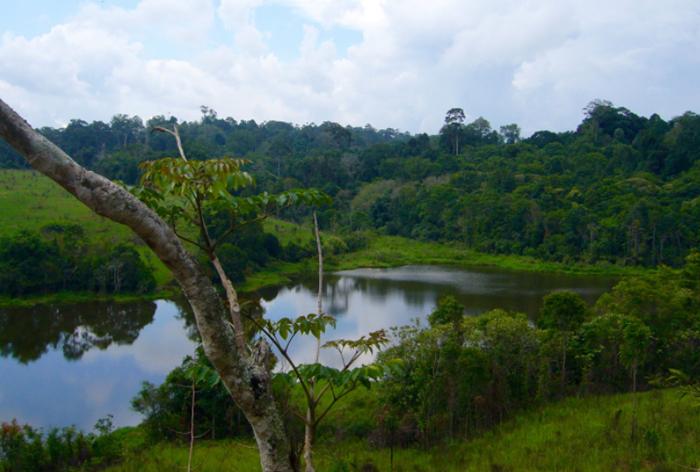 Peaceful lookout over the national park