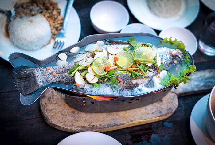 huntforthaidishCover