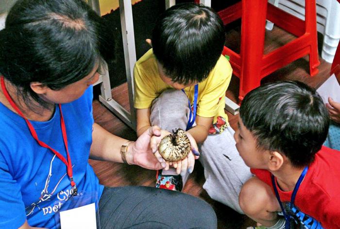 local-ArtistCover-900x606