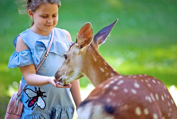 4thingstotrynearkualumpurCover