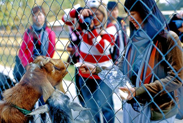 b_family_tainan_Cover