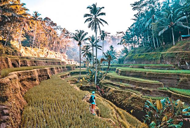 blog_bali_fam_adventure_Cover