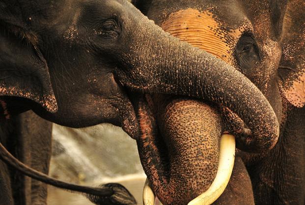 blog_chiangmai_48-hours_cover