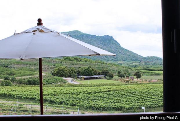 blog_huahinfun_vineyard