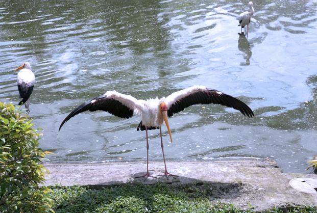 blog_kl_birdpark