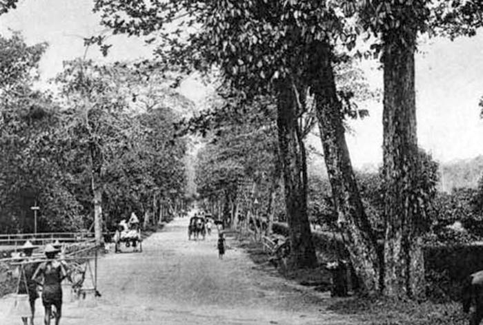 Old Orchard Road