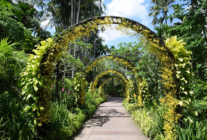 Orchard Road A Boulevard Of Style And Substance Furamafirst